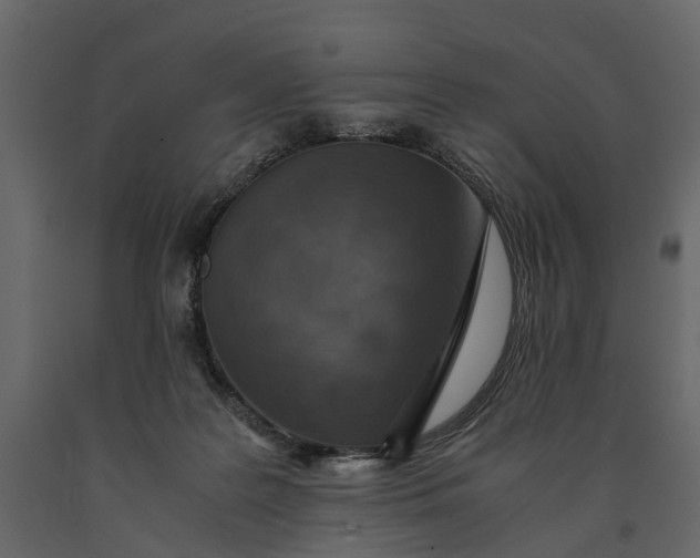 X0000091100219200708271323