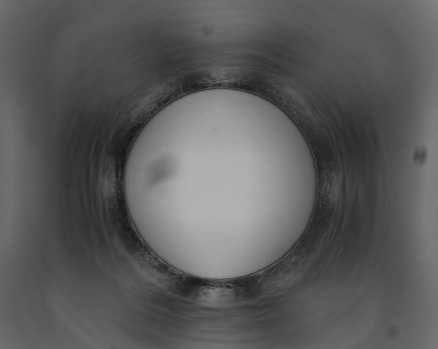 X0000091100220200708271323