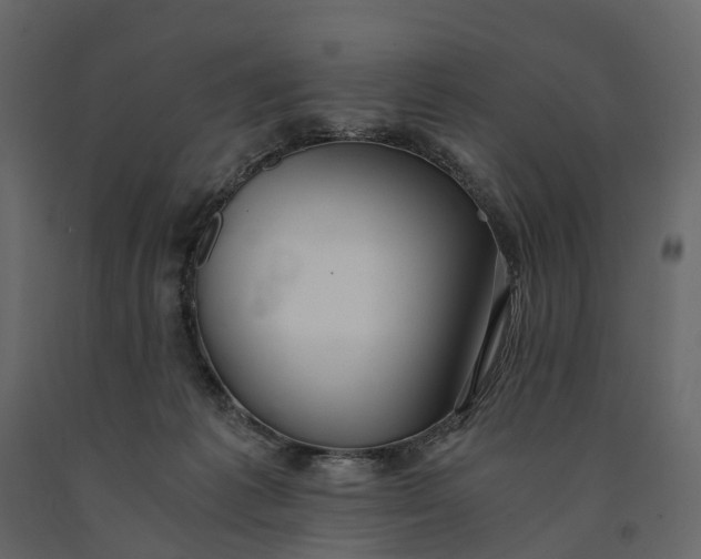 X0000091100221200708271322