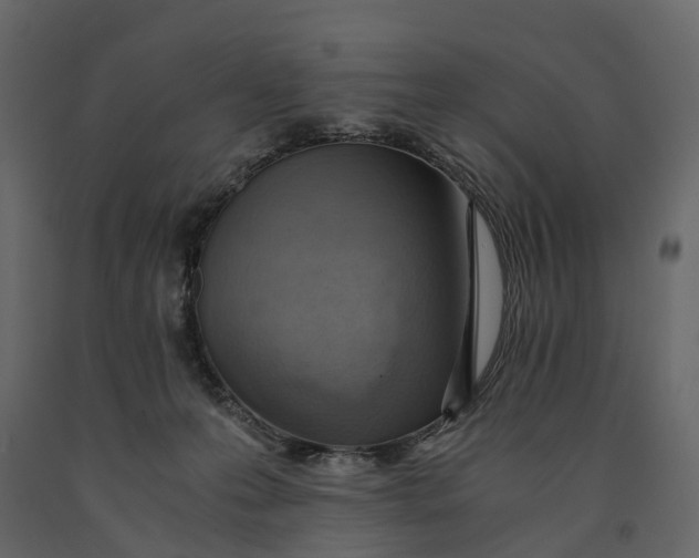 X0000091100223200708271322