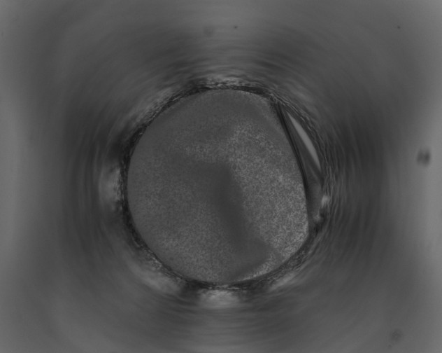 X0000091100224200708271322