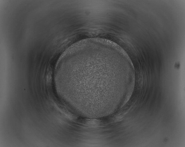 X0000091100226200708271322