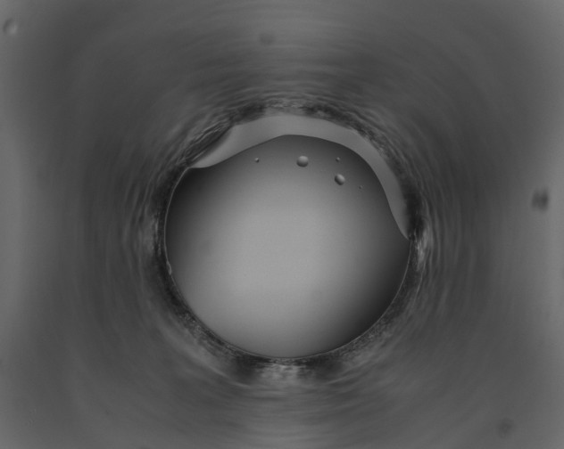 X0000091100227200708271322