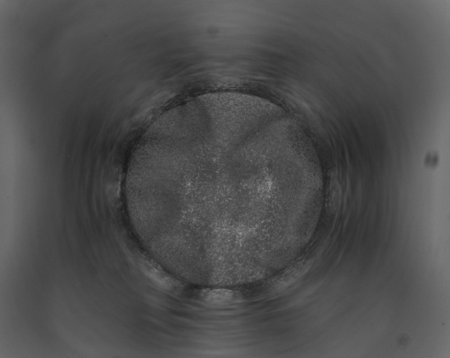 X0000091100230200708271322