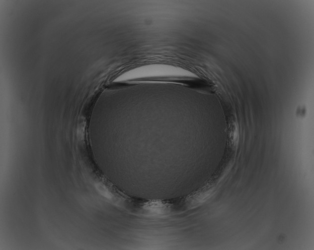 X0000091100231200708271322