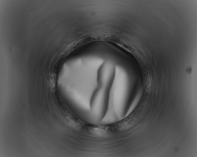 X0000091100232200708271322