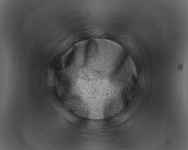 X0000091100234200708271322