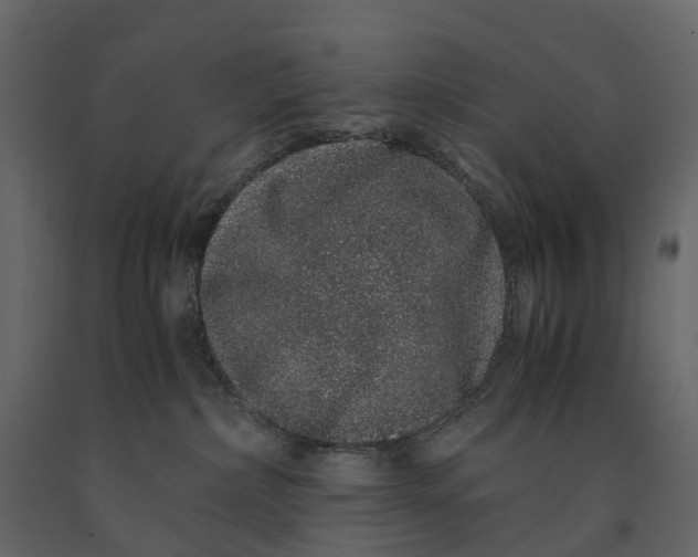 X0000091100236200708271322