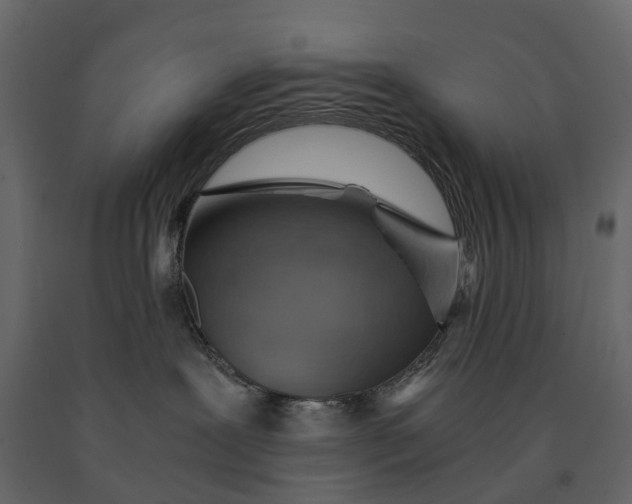 X0000091100239200708271322