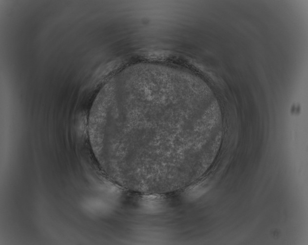 X0000091100240200708271322