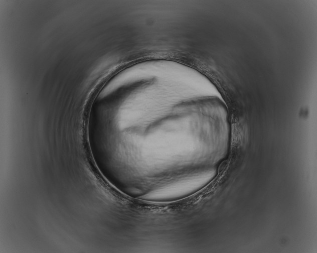 X0000091100243200708271322