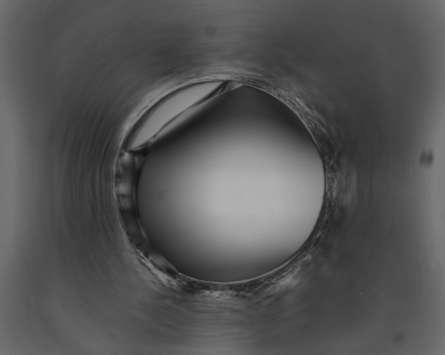 X0000091100244200708271322