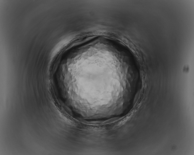 X0000091100245200708271322