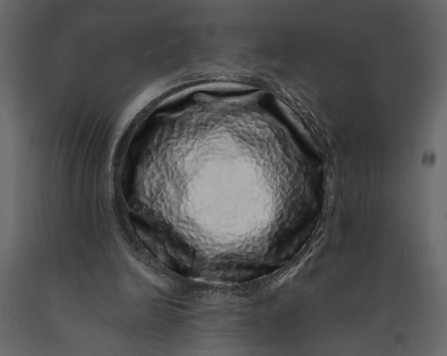 X0000091100246200708271322