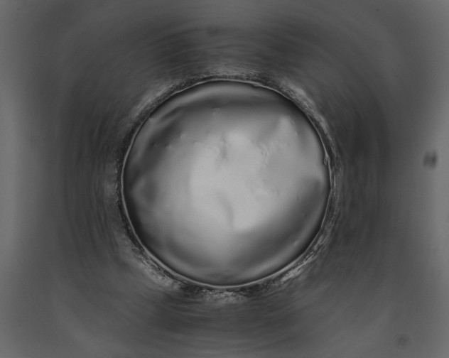 X0000091100249200708271322