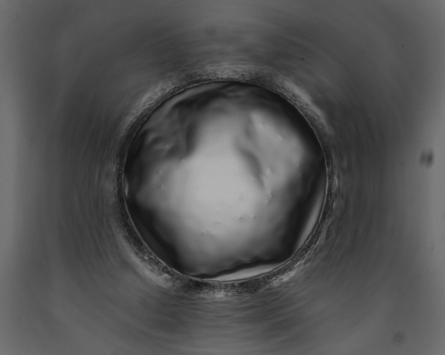 X0000091100250200708271322