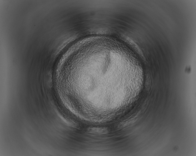 X0000091100251200708271322