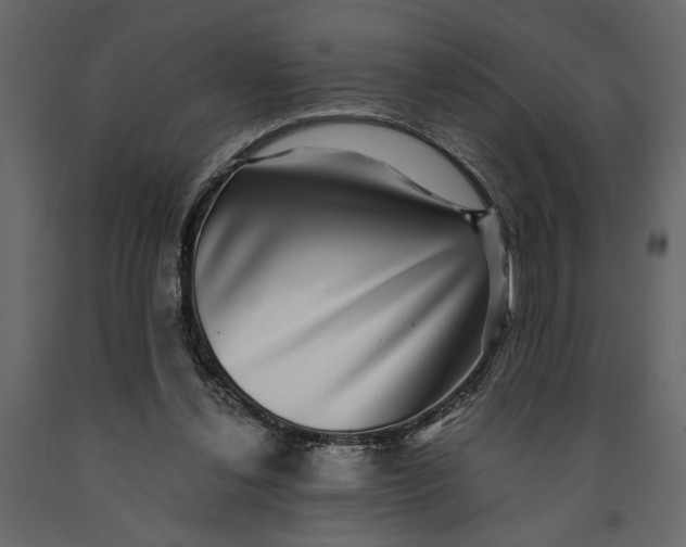 X0000091100252200708271322