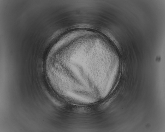 X0000091100253200708271322