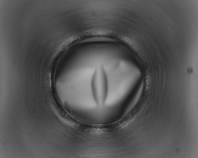 X0000091100254200708271322