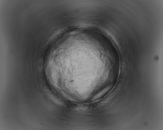 X0000091100257200708271322