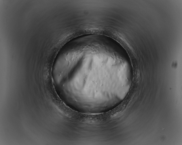 X0000091100259200708271322