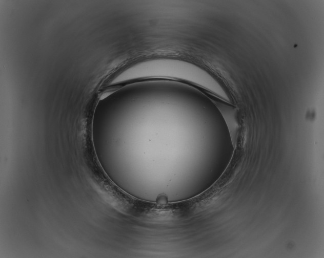 X0000091100260200708271322