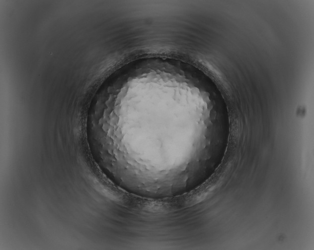 X0000091100261200708271322