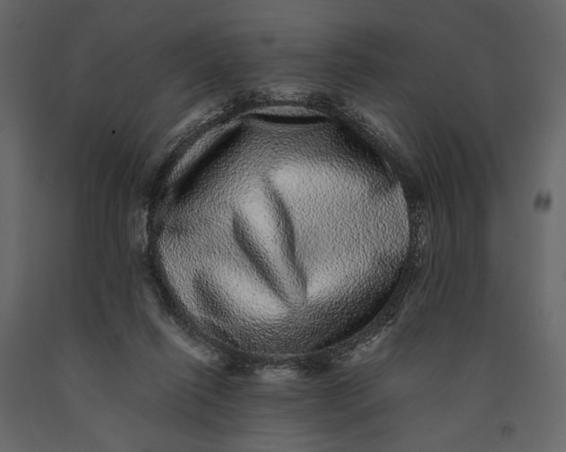 X0000091100262200708271322