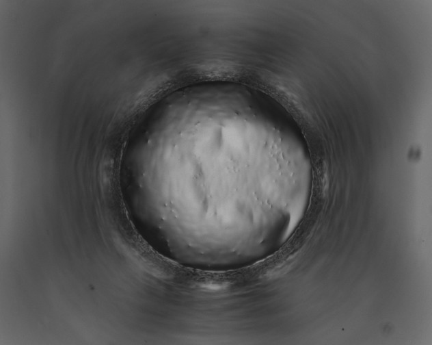 X0000091100263200708271322