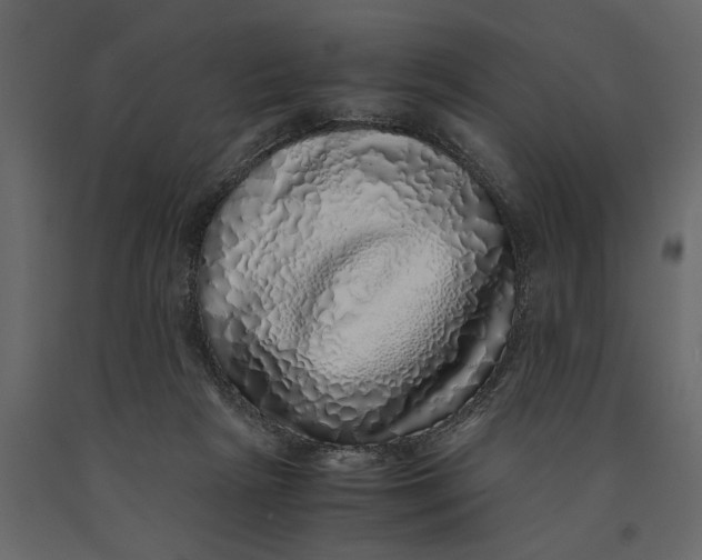 X0000091100265200708271322