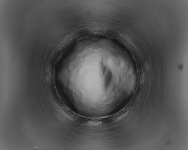 X0000091100266200708271322