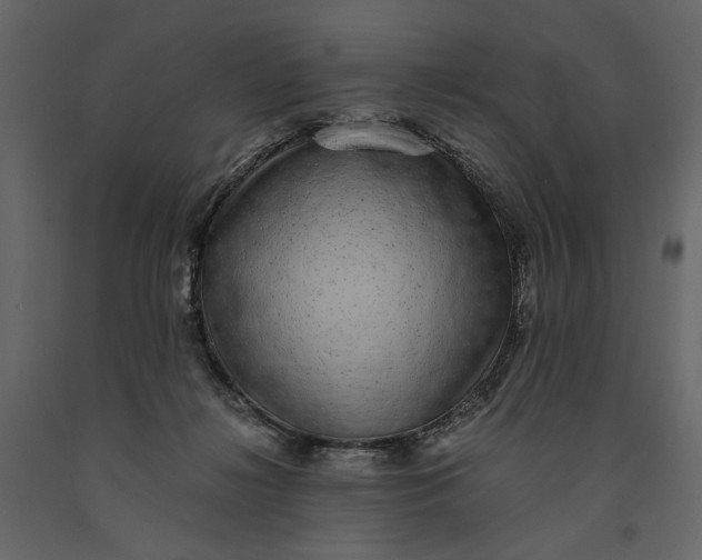 X0000091100268200708271322