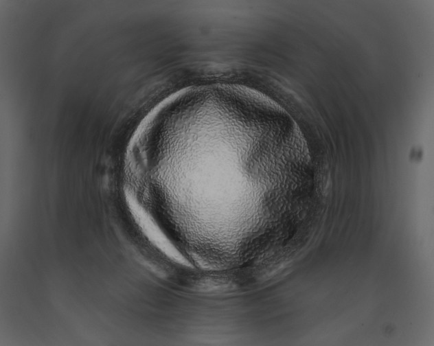 X0000091100270200708271322