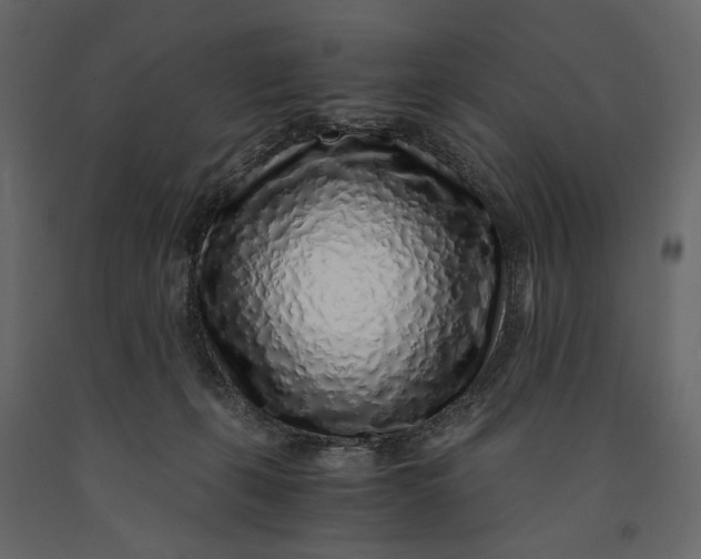 X0000091100271200708271322