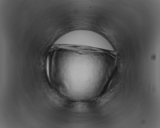 X0000091100273200708271322