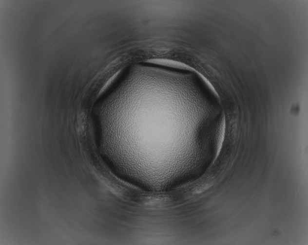 X0000091100274200708271322