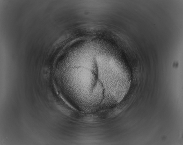 X0000091100278200708271322