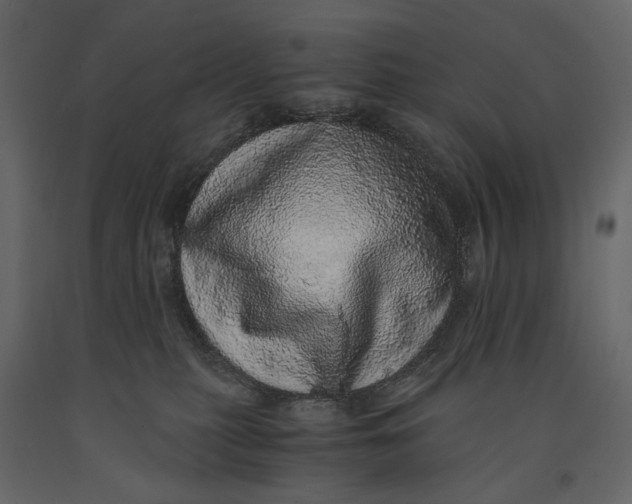 X0000091100279200708271322