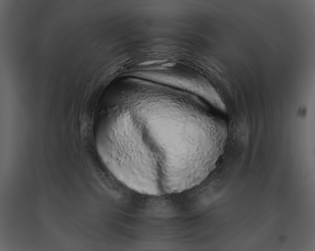 X0000091100283200708271322