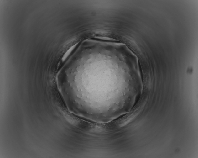 X0000091100285200708271322