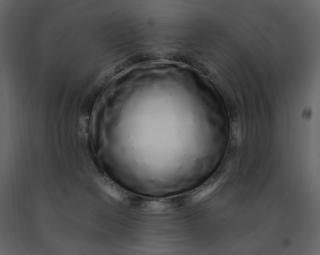 X0000091100286200708271322