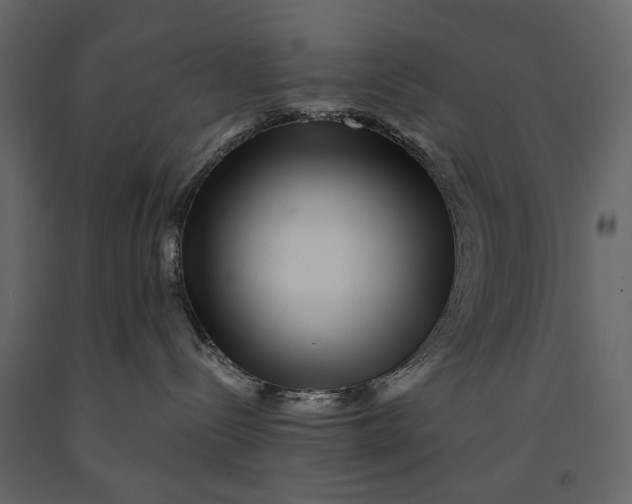 X0000091100288200708271322