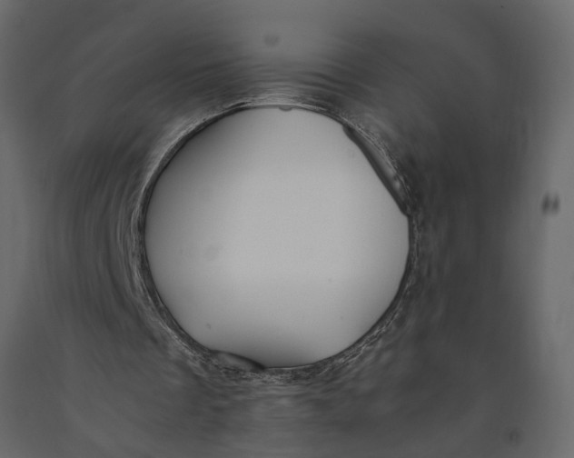 X0000091100289200708271322