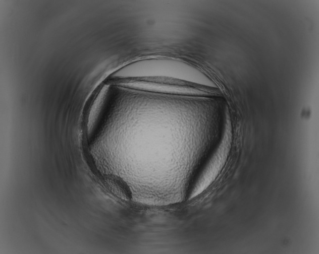 X0000091100290200708271322