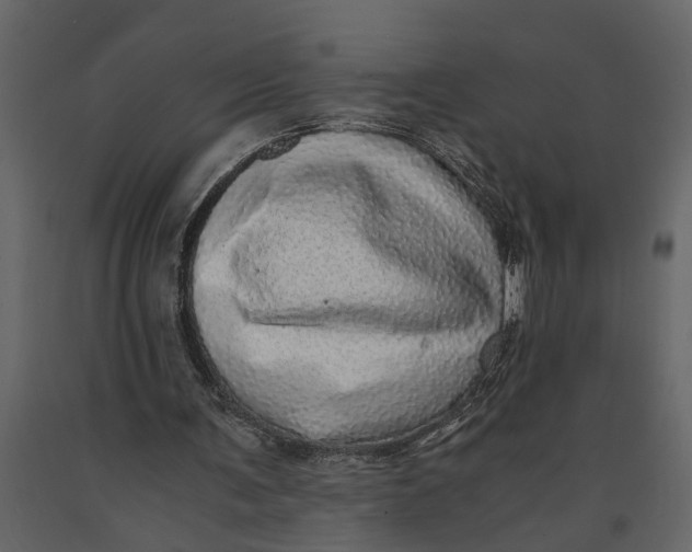 X0000091100291200708271322