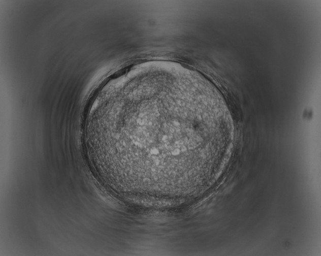 X0000091100293200708271322