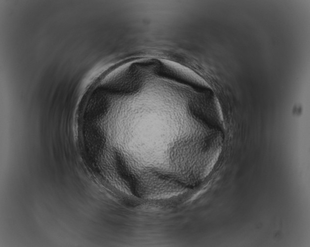 X0000091100294200708271322