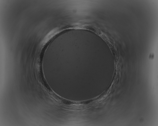 X0000091100295200708271322