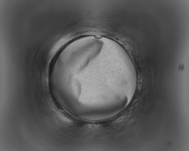 X0000091100296200708271322